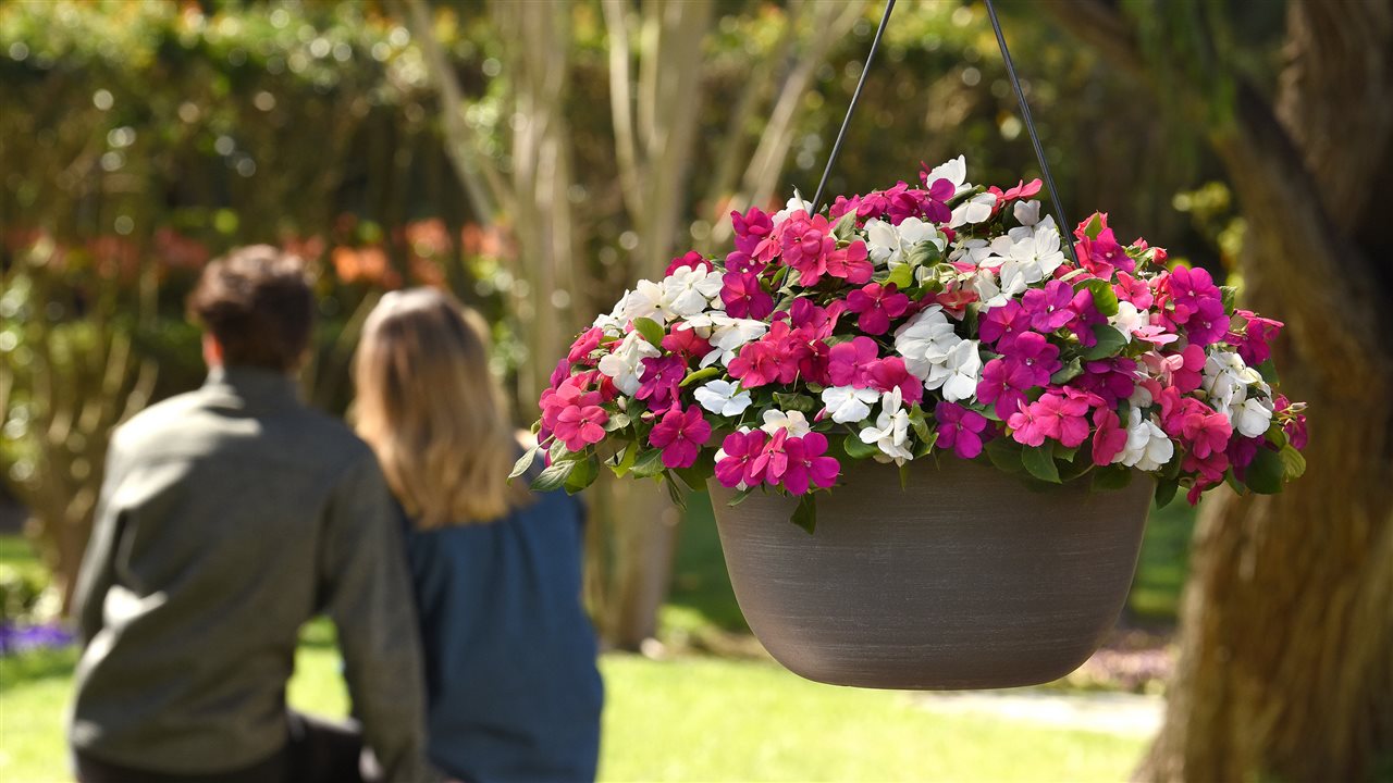 4 ways to boost your well-being with garden therapy