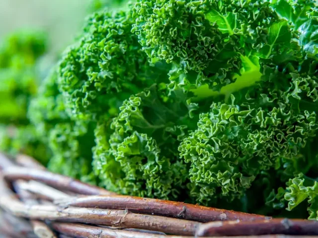 Food Sources for Vitamins and Minerals Monmouth County NJ Residents Should Know